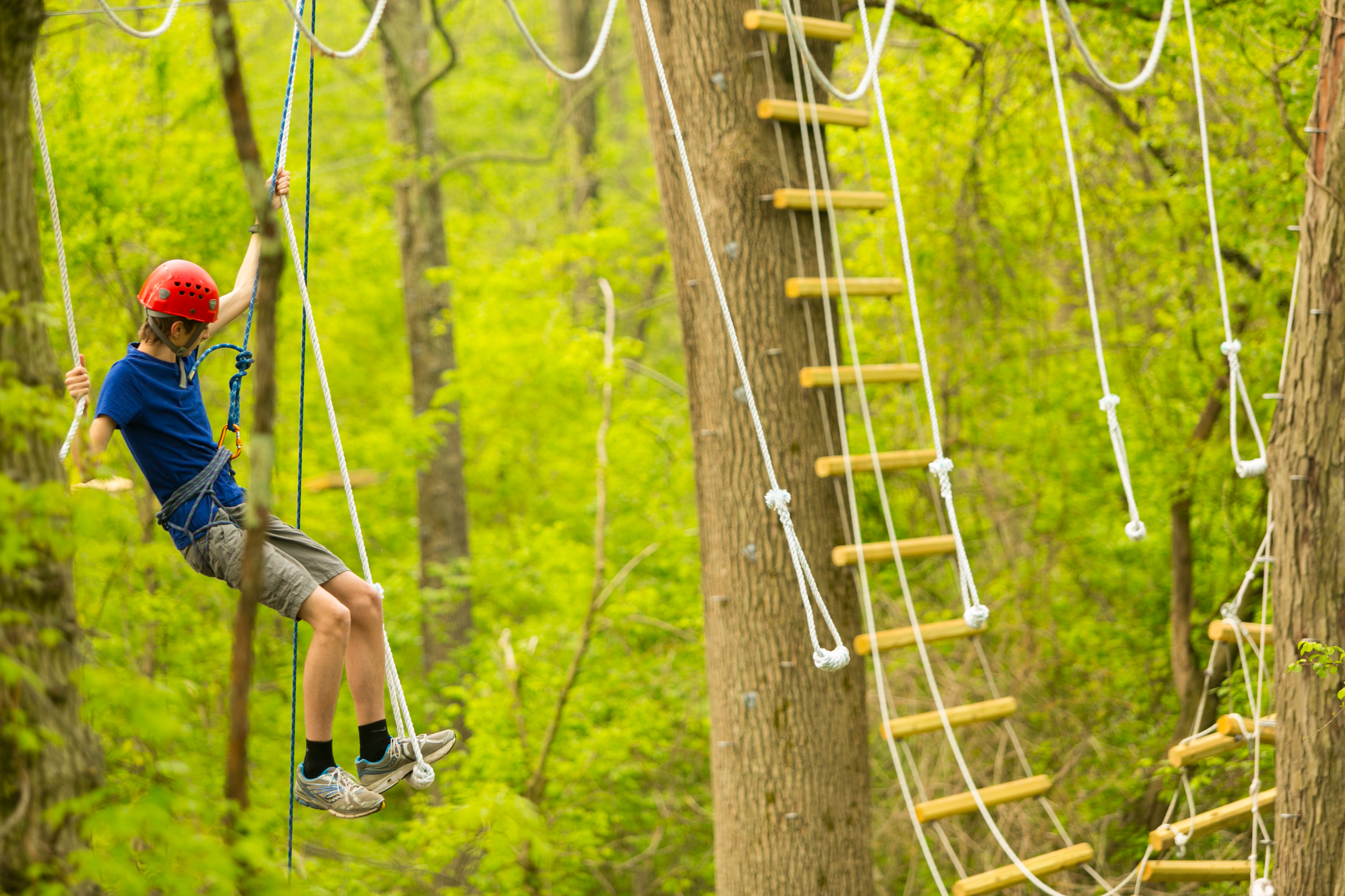 Princeton Day School Announces New High Ropes Course on Campus