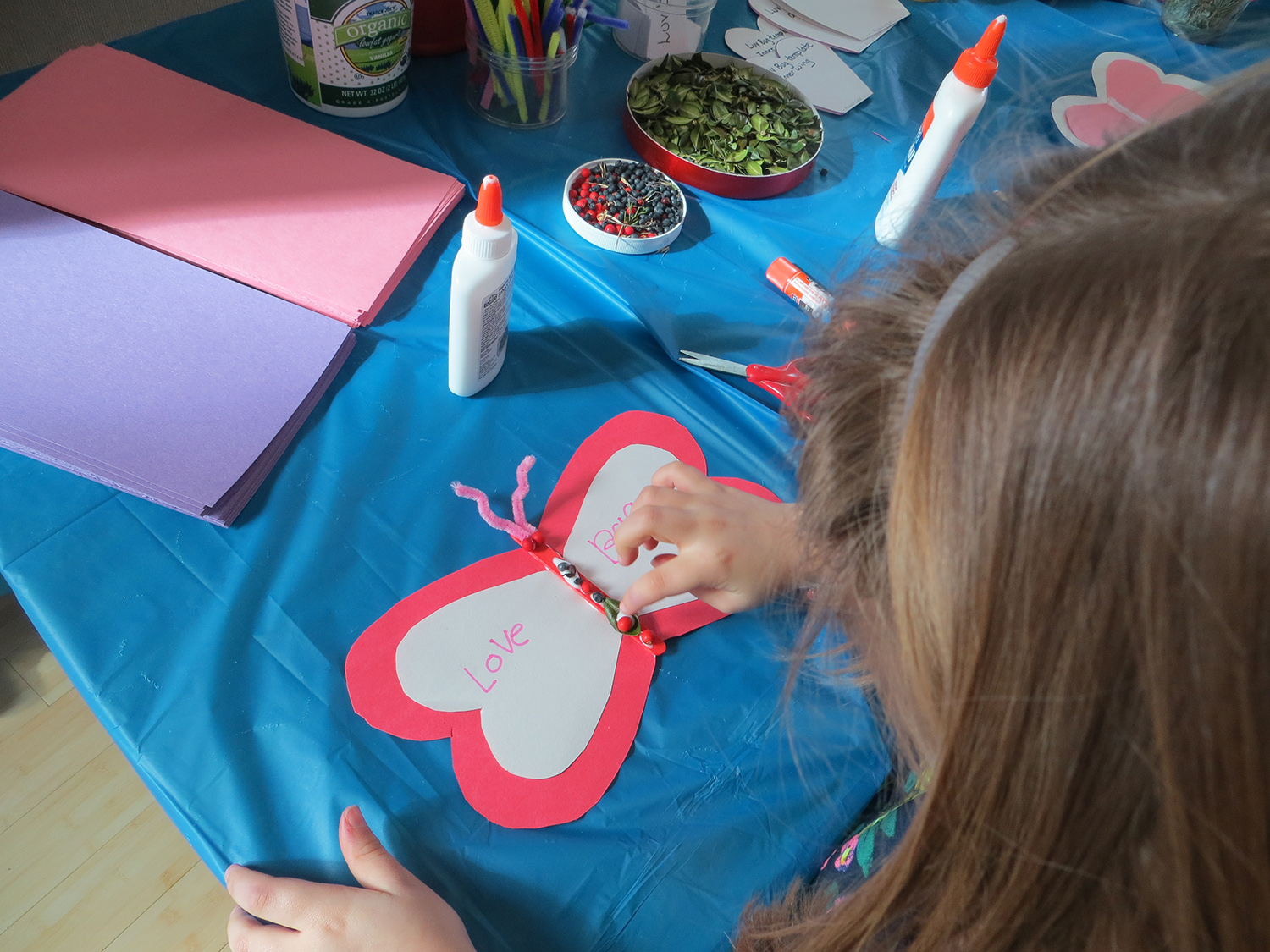 Tulpehaking Nature Center Announces 